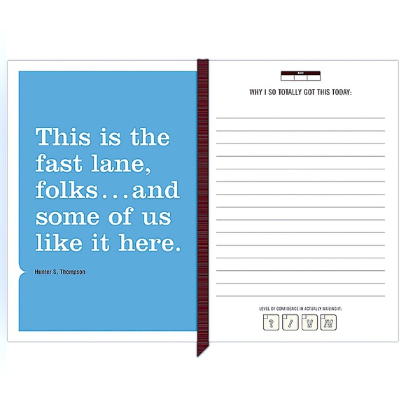 “I Totally Got This” Mini Inner-Truth Journal 🌻 By The Knock Knock Store. - Picture 4 of 4